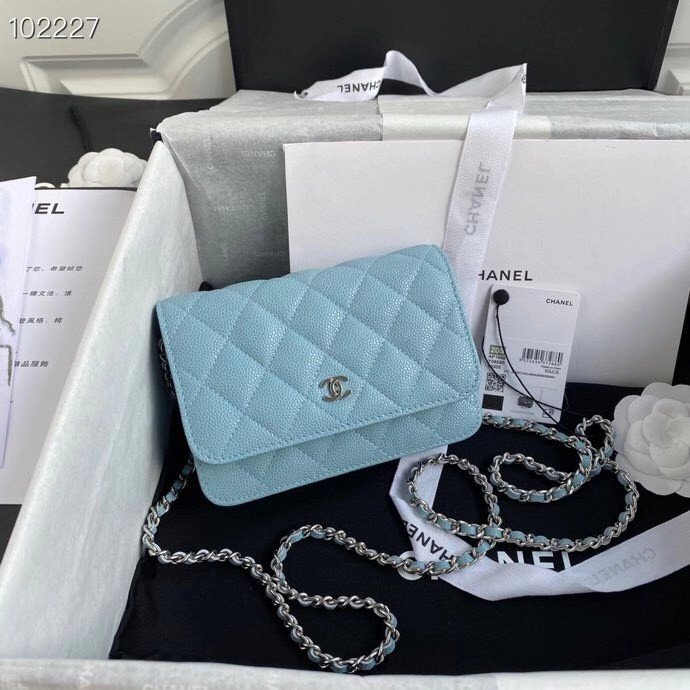 WOC , blue caviar with silver hardware