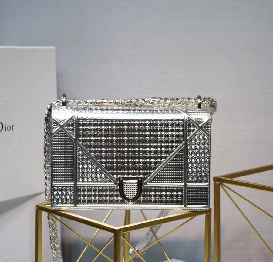 Diorama , silver leather with silver hardware